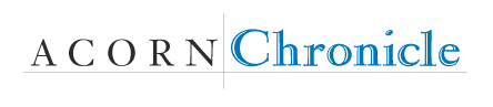 Collection logo
